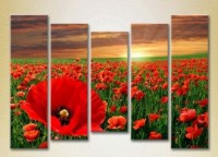 Pictură Rainbow Polyptych Poppy Field 02 (2932837)