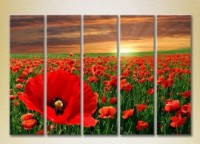Pictură Rainbow Polyptych Poppy Field 03 (2932838)