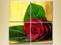 Pictură Rainbow Polyptych Red Rose (2932294)