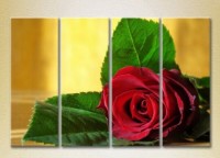 Pictură Rainbow Polyptych Red Rose 01 (2932295)