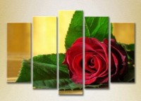 Pictură Rainbow Polyptych Red Rose 03 (2932823)