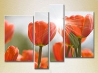 Pictură Rainbow Polyptych Red tulips (2932296)