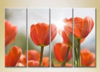 Pictură Rainbow Polyptych Red Tulips 01 (2932297)