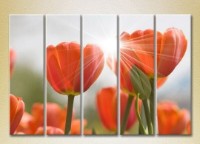 Pictură Rainbow Polyptych Red Tulips 02 (2932824)