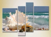 Pictură Rainbow Polyptych Seashells (2223404) imaginea #1 — magazin online Desire.md