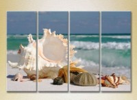 Pictură Rainbow Polyptych Seashells 01 (2223430)