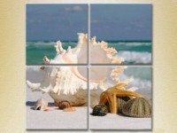 Картина Rainbow Polyptych Seashells 02 (2223406)