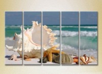 Картина Rainbow Polyptych Seashells 03 (2224773)