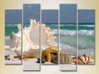 Pictură Rainbow Polyptych Seashells 04 (2224776)
