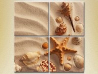 Pictură Rainbow Polyptych Seashells in the Sand 01 (2223417)