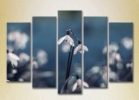Pictură Rainbow Polyptych Snowdrops 04 (2932854)