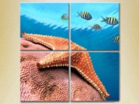 Pictură Rainbow Polyptych Starfish at depth 02 (2223403)