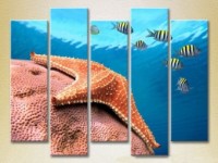 Pictură Rainbow Polyptych Starfish at depth 03 (2224790)