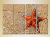 Pictură Rainbow Polyptych Starfish on the shore (2223407) imaginea #1 — magazin online Desire.md