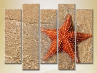 Pictură Rainbow Polyptych Starfish on the Shore 01 (2224772)