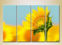 Pictură Rainbow Polyptych Sunflower (2932332)