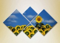 Pictură Rainbow Polyptych Sunflower Field 01 (2932335)