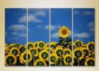 Pictură Rainbow Polyptych Sunflower Field 02 (2932336)