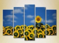 Pictură Rainbow Polyptych Sunflower Field 05 (2932859) imaginea #1 — magazin online Desire.md