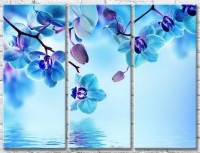 Картина Gallerix Blue orchid on a background of water (3448931)
