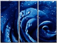 Картина Gallerix Blue rose petals with dew drops (500654)