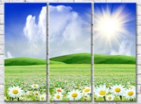 Картина Gallerix Chamomile field against the backdrop of green hills and sun (500633)