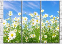 Картина Gallerix Chamomile flowers on a sky background (500636)