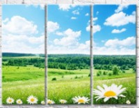 Картина Gallerix Chamomile flowers on the background of fields and forests (500776)