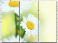 Pictură Gallerix Chamomile on a light abstract background (500612)