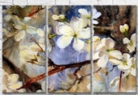Картина Gallerix Cherry blossom (3572531)