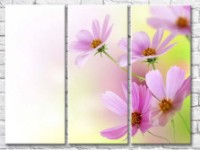 Pictură Gallerix Delicate pink flowers on light green background (500583)
