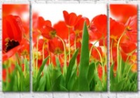 Картина Gallerix Floral abstraction from red flowers and leaves of tulips (500800)