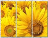 Картина Gallerix Floral abstraction from sunflowers (500802)
