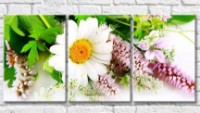 Картина Gallerix Flower arrangement with large chamomile (500809)