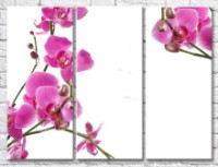 Pictură Gallerix Fragile twigs of orchids with flowers and buds (500765)