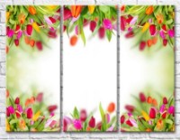 Pictură Gallerix Frame of multicolored tulips (500568)
