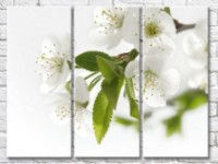 Pictură Gallerix Fruit branch in white (500764)