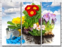 Картина Gallerix Garden arrangement with colorful spring flowers (500641)