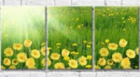 Картина Gallerix Glade with yellow flowers in the sun (500536)