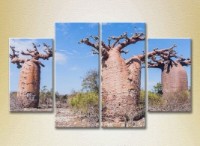 Pictură Rainbow Polyptych Three Baobabs 01 (2223681)