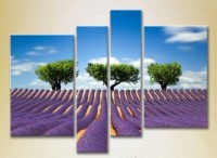 Pictură Rainbow Polyptych Three trees in a lavender field (2223684)