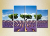 Pictură Rainbow Polyptych Three trees in a lavender field 01 (2223683) imaginea #1 — magazin online Desire.md