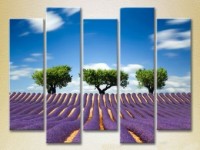 Pictură Rainbow Polyptych Three trees in a lavender field 03 (2224816)
