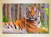 Картина Rainbow Polyptych Tiger 01 (2222244)