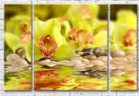 Картина Gallerix Light green orchid flowers by the water (500645)