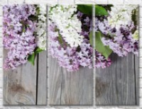 Картина Gallerix Lilac and white lilac flowers on a board background (500662)