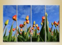 Pictură Rainbow Polyptych Tulip Field 02 (2932339)