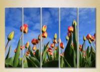 Pictură Rainbow Polyptych Tulip Field 04 (2932861) imaginea #1 — magazin online Desire.md