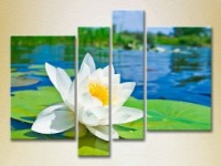 Pictură Rainbow Polyptych Water Lily 01 (2932306)