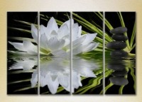 Pictură Rainbow Polyptych Water lily and massage stones 01 (2932272)